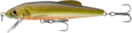 243 Gold / Perch