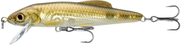 244 Emerald Shiner