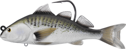 908 Atlantic Croaker