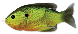 552 Florescent Pumpkinseed