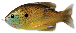 558 Copper Pumpkinseed