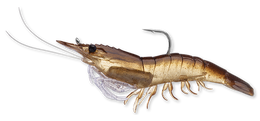 910 Sand Shrimp