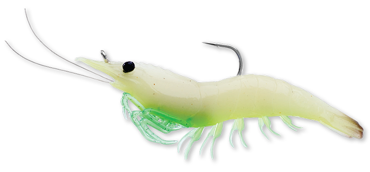 913 Glow Shrimp