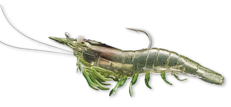 918 Grass Shrimp