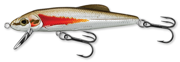 DACE
