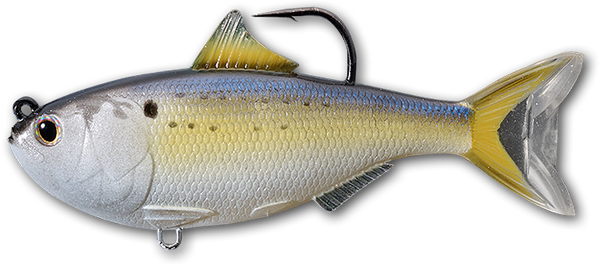 Menhaden