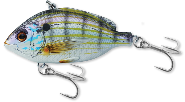 Rattlebaits