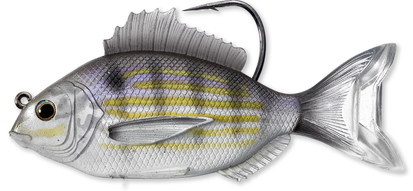Pinfish