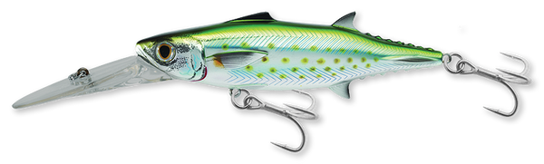 Mackerel