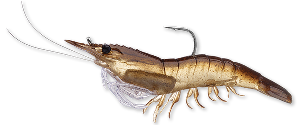 Shrimp