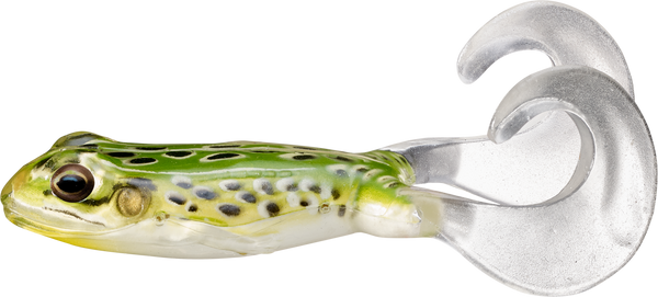 SUMMER LARGEMOUTH ESSENTIALS