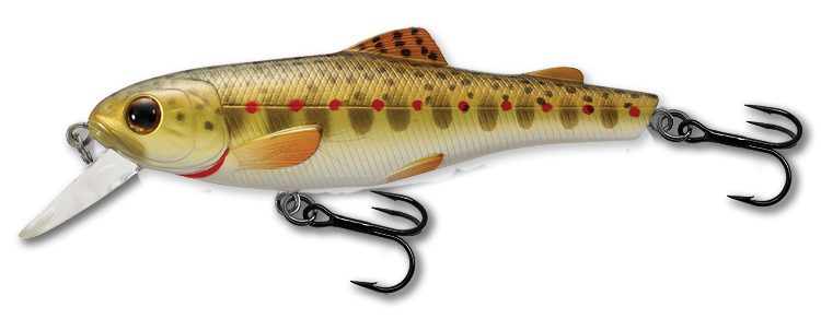 901 Brown Trout